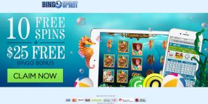 10Free spins and $ 25 free bingo bonus